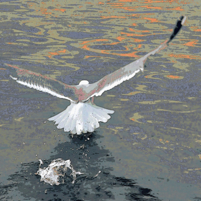 Arrête de décoller